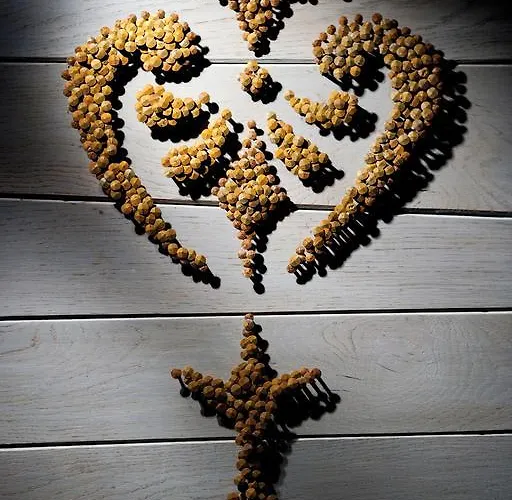 Le Savoie Hotel 5*